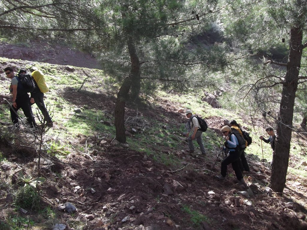 Kaynaklar - Nif - K.PaÃƒÂƒÃ‚Â…ÃƒÂ‚Ã‚ÂŸa(08 Nisan 2012)  00013.jpg