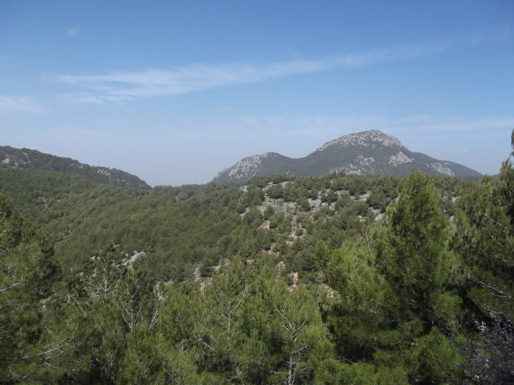 Kaynaklar - Nif - K.PaÃƒÂƒÃ‚Â…ÃƒÂ‚Ã‚ÂŸa(08 Nisan 2012)  00014.jpg