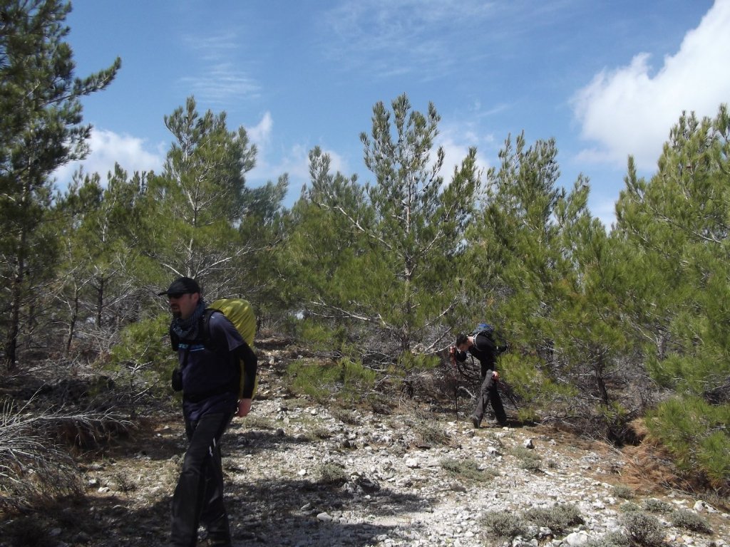 Kaynaklar - Nif - K.PaÃƒÂƒÃ‚Â…ÃƒÂ‚Ã‚ÂŸa(08 Nisan 2012)  00017.jpg