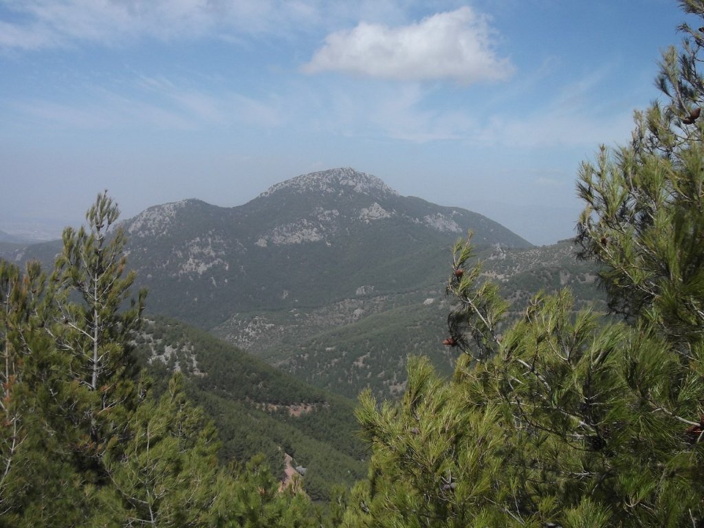 Kaynaklar - Nif - K.PaÃƒÂƒÃ‚Â…ÃƒÂ‚Ã‚ÂŸa(08 Nisan 2012)  00018.jpg