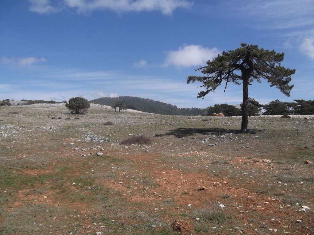 Kaynaklar - Nif - K.PaÃƒÂƒÃ‚Â…ÃƒÂ‚Ã‚ÂŸa(08 Nisan 2012)  00024.jpg