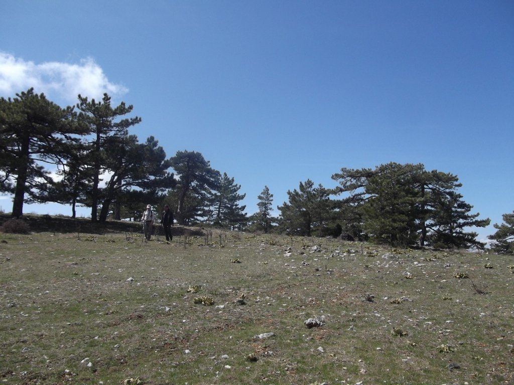 Kaynaklar - Nif - K.PaÃƒÂƒÃ‚Â…ÃƒÂ‚Ã‚ÂŸa(08 Nisan 2012)  00025.jpg