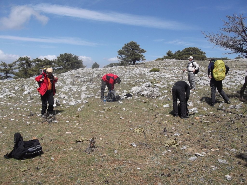 Kaynaklar - Nif - K.PaÃƒÂƒÃ‚Â…ÃƒÂ‚Ã‚ÂŸa(08 Nisan 2012)  00030.jpg