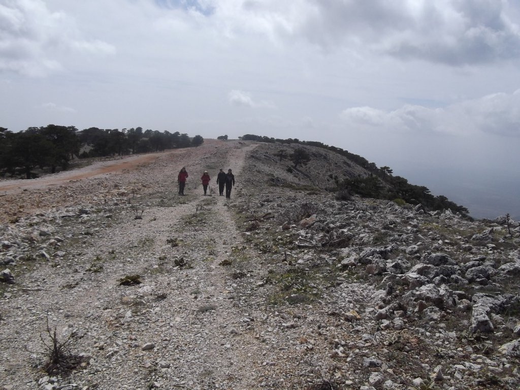 Kaynaklar - Nif - K.PaÃƒÂƒÃ‚Â…ÃƒÂ‚Ã‚ÂŸa(08 Nisan 2012)  00031.jpg