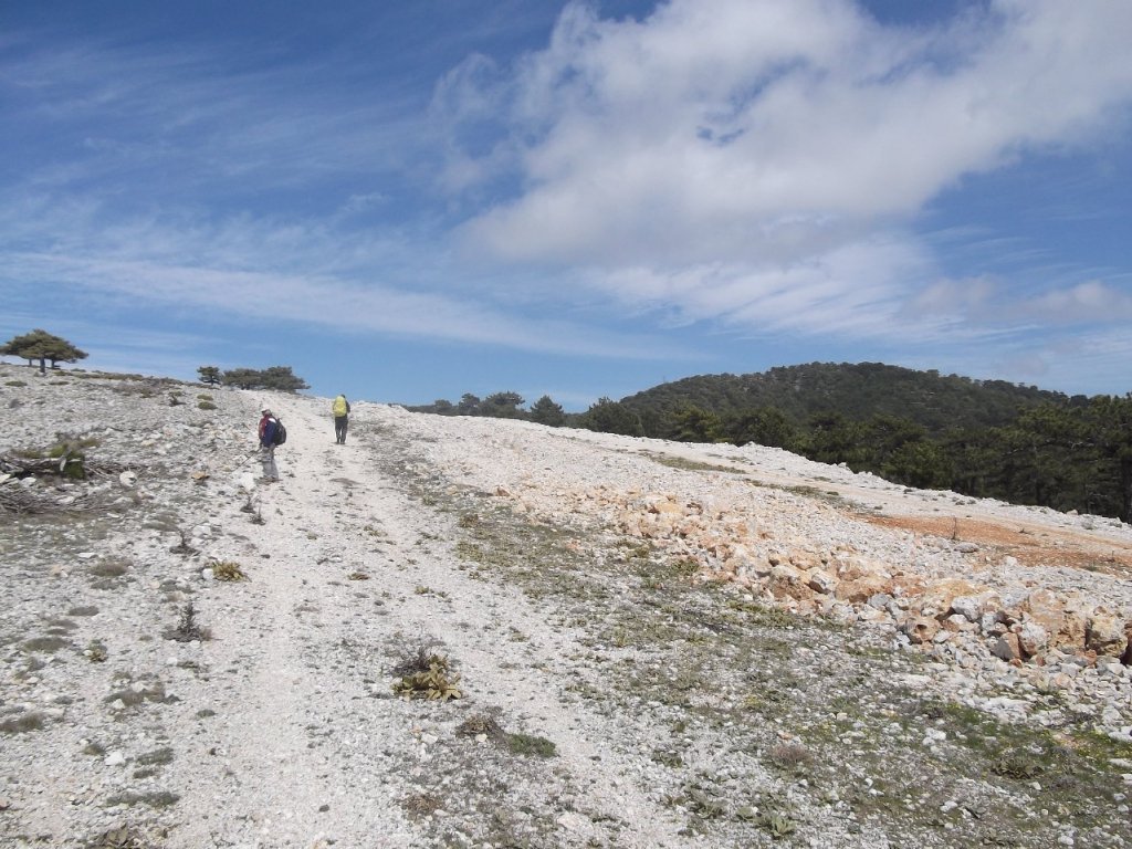 Kaynaklar - Nif - K.PaÃƒÂƒÃ‚Â…ÃƒÂ‚Ã‚ÂŸa(08 Nisan 2012)  00033.jpg