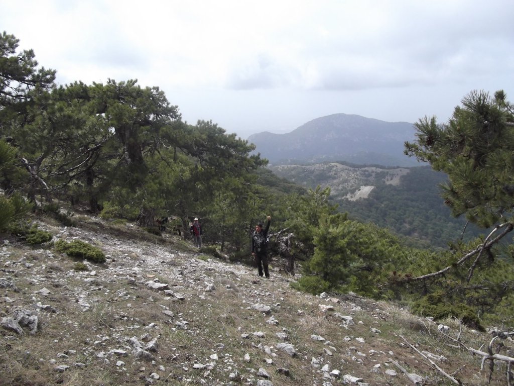 Kaynaklar - Nif - K.PaÃƒÂƒÃ‚Â…ÃƒÂ‚Ã‚ÂŸa(08 Nisan 2012)  00038.jpg