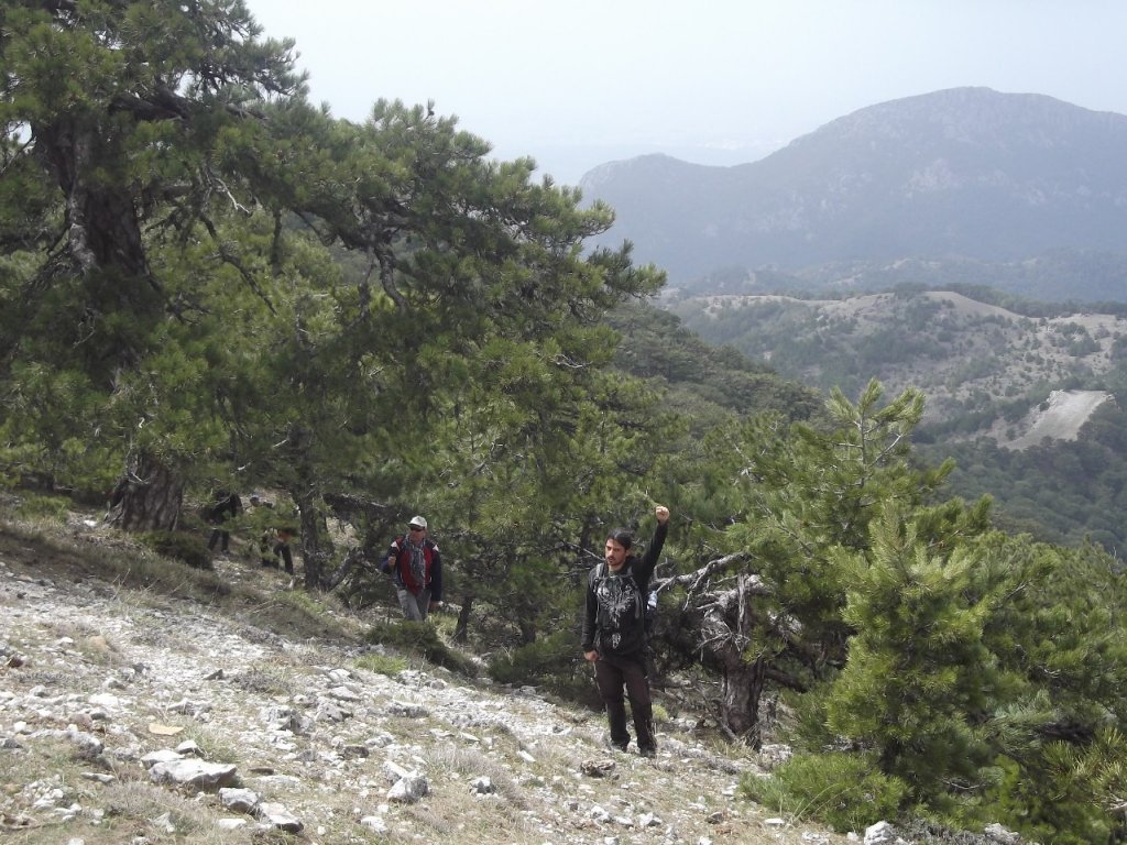 Kaynaklar - Nif - K.PaÃƒÂƒÃ‚Â…ÃƒÂ‚Ã‚ÂŸa(08 Nisan 2012)  00039.jpg