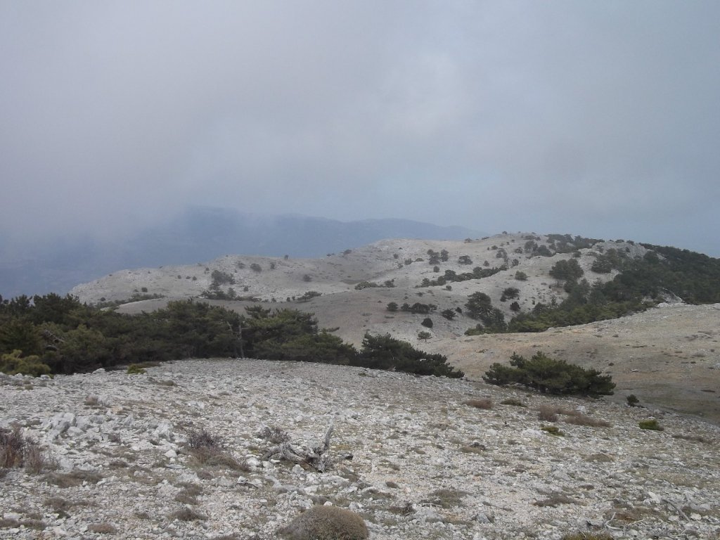 Kaynaklar - Nif - K.PaÃƒÂƒÃ‚Â…ÃƒÂ‚Ã‚ÂŸa(08 Nisan 2012)  00055.jpg