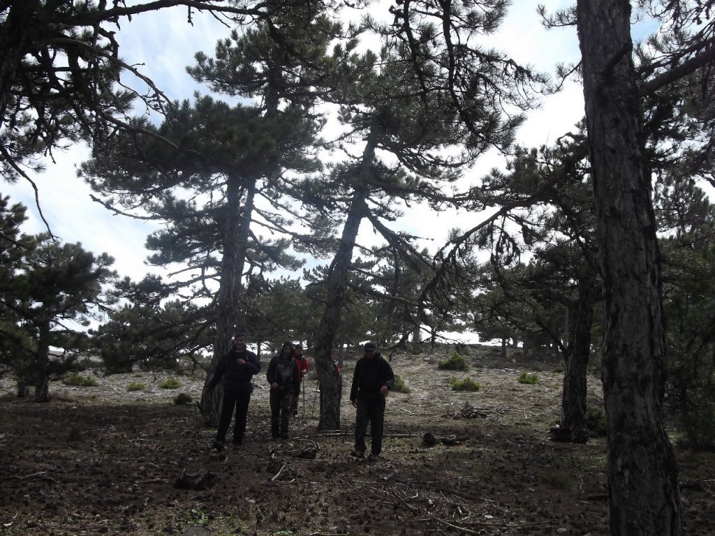 Kaynaklar - Nif - K.PaÃƒÂƒÃ‚Â…ÃƒÂ‚Ã‚ÂŸa(08 Nisan 2012)  00056.jpg