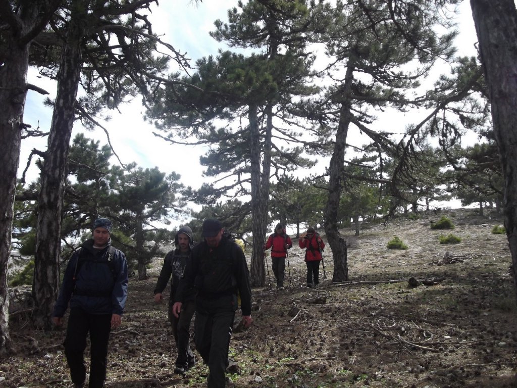 Kaynaklar - Nif - K.PaÃƒÂƒÃ‚Â…ÃƒÂ‚Ã‚ÂŸa(08 Nisan 2012)  00057.jpg