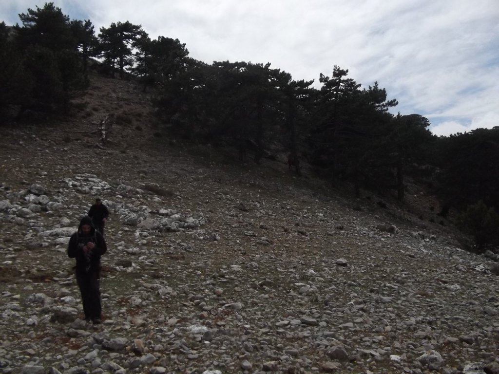 Kaynaklar - Nif - K.PaÃƒÂƒÃ‚Â…ÃƒÂ‚Ã‚ÂŸa(08 Nisan 2012)  00058.jpg