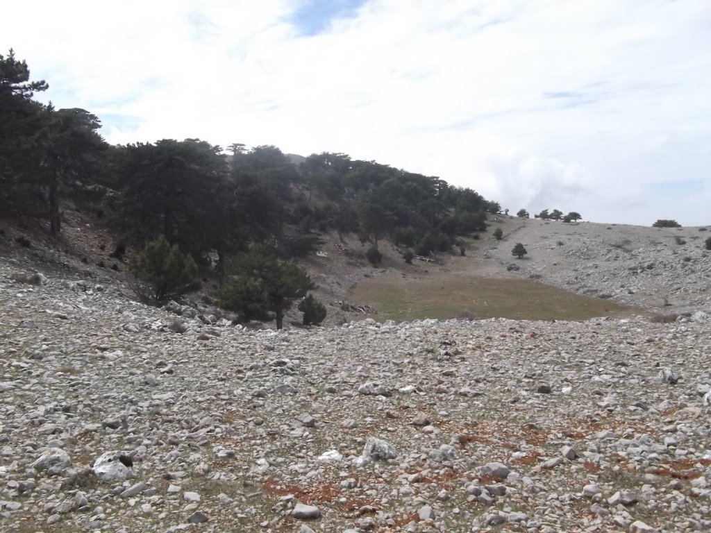 Kaynaklar - Nif - K.PaÃƒÂƒÃ‚Â…ÃƒÂ‚Ã‚ÂŸa(08 Nisan 2012)  00059.jpg