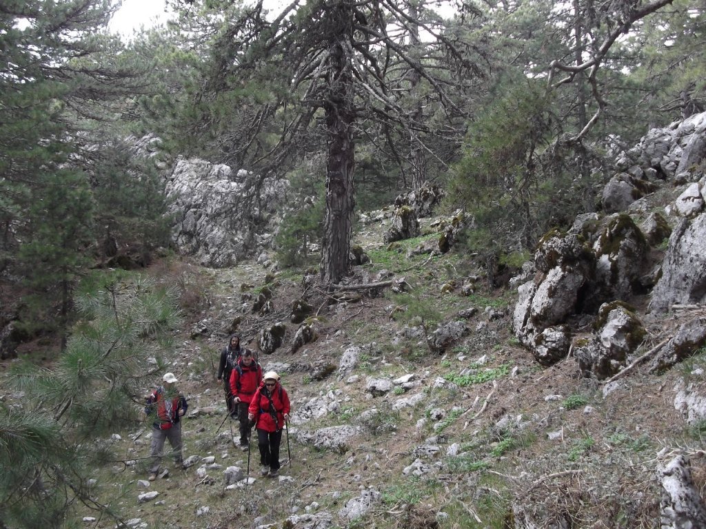 Kaynaklar - Nif - K.PaÃƒÂƒÃ‚Â…ÃƒÂ‚Ã‚ÂŸa(08 Nisan 2012)  00062.jpg