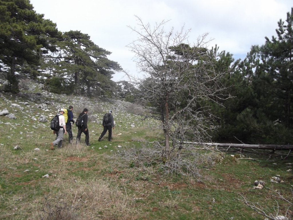 Kaynaklar - Nif - K.PaÃƒÂƒÃ‚Â…ÃƒÂ‚Ã‚ÂŸa(08 Nisan 2012)  00066.jpg