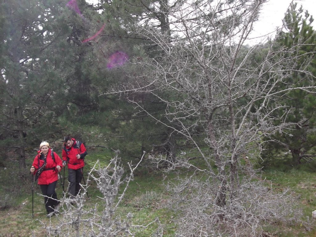 Kaynaklar - Nif - K.PaÃƒÂƒÃ‚Â…ÃƒÂ‚Ã‚ÂŸa(08 Nisan 2012)  00067.jpg