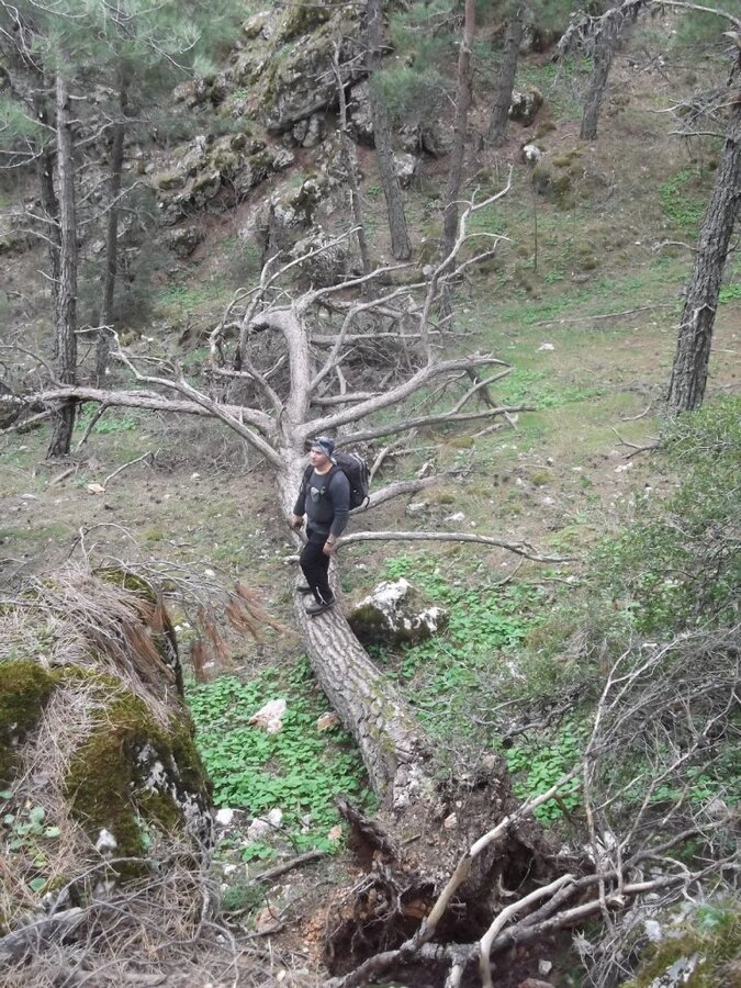 Kaynaklar - Nif - K.PaÃƒÂƒÃ‚Â…ÃƒÂ‚Ã‚ÂŸa(08 Nisan 2012)  00072.jpg