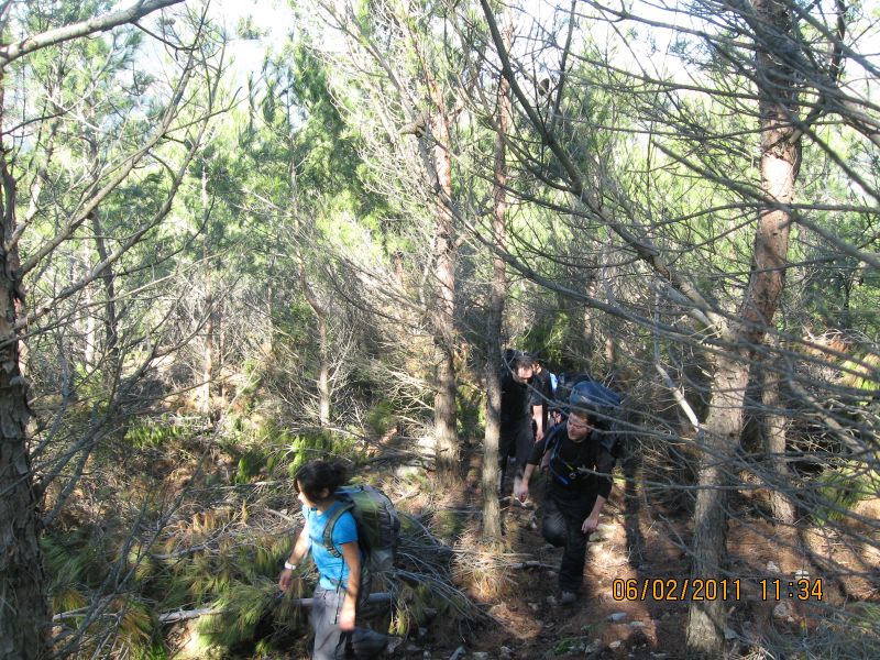 Kaynaklar - Nif Zirve (06 ÃƒÂƒÃ‚Â…ÃƒÂ‚Ã‚Âžubat 11) 088.jpg
