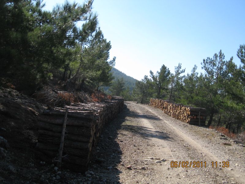 Kaynaklar - Nif Zirve (06 ÃƒÂƒÃ‚Â…ÃƒÂ‚Ã‚Âžubat 11) 089.jpg