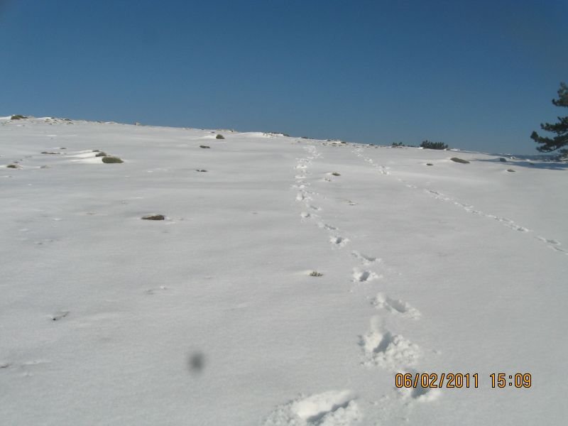 Kaynaklar - Nif Zirve (06 ÃƒÂƒÃ‚Â…ÃƒÂ‚Ã‚Âžubat 11) 111.jpg