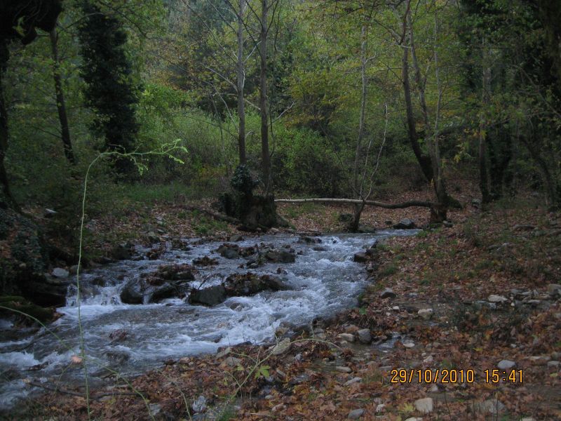 Kaz DaÃƒÂƒÃ‚Â„ÃƒÂ‚Ã‚ÂŸlarÃƒÂƒÃ‚Â„ÃƒÂ‚Ã‚Â± - Ekim 2010 040.jpg