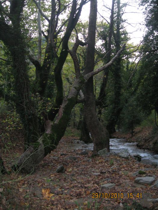 Kaz DaÃƒÂƒÃ‚Â„ÃƒÂ‚Ã‚ÂŸlarÃƒÂƒÃ‚Â„ÃƒÂ‚Ã‚Â± - Ekim 2010 041.jpg