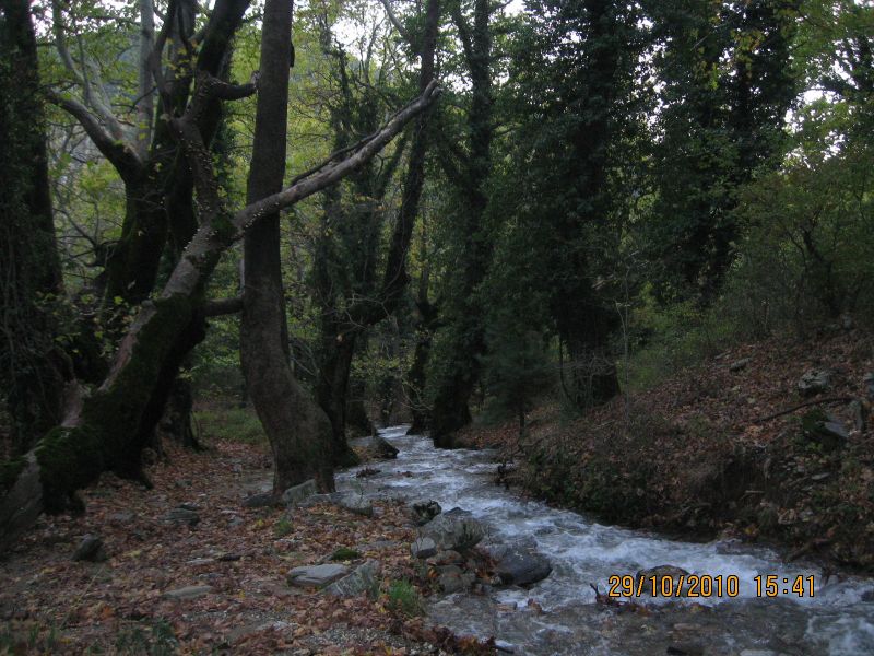 Kaz DaÃƒÂƒÃ‚Â„ÃƒÂ‚Ã‚ÂŸlarÃƒÂƒÃ‚Â„ÃƒÂ‚Ã‚Â± - Ekim 2010 042.jpg