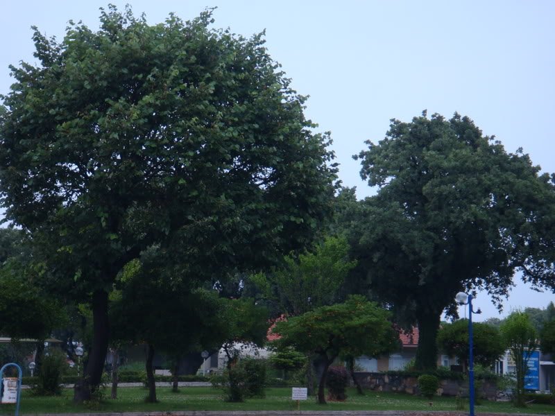 KazDalar324.jpg