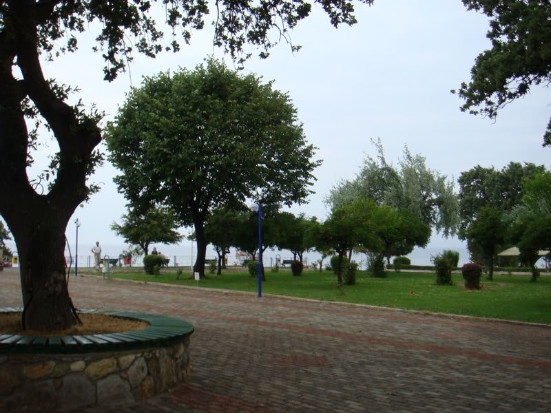 KazDalar336.jpg