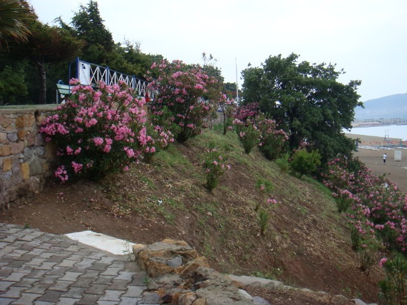 KazDalar337.jpg