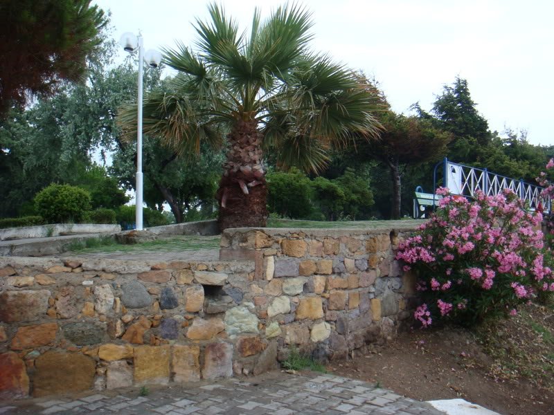 KazDalar338.jpg