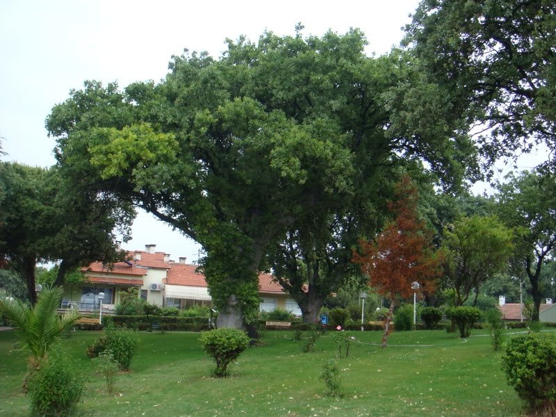 KazDalar341.jpg