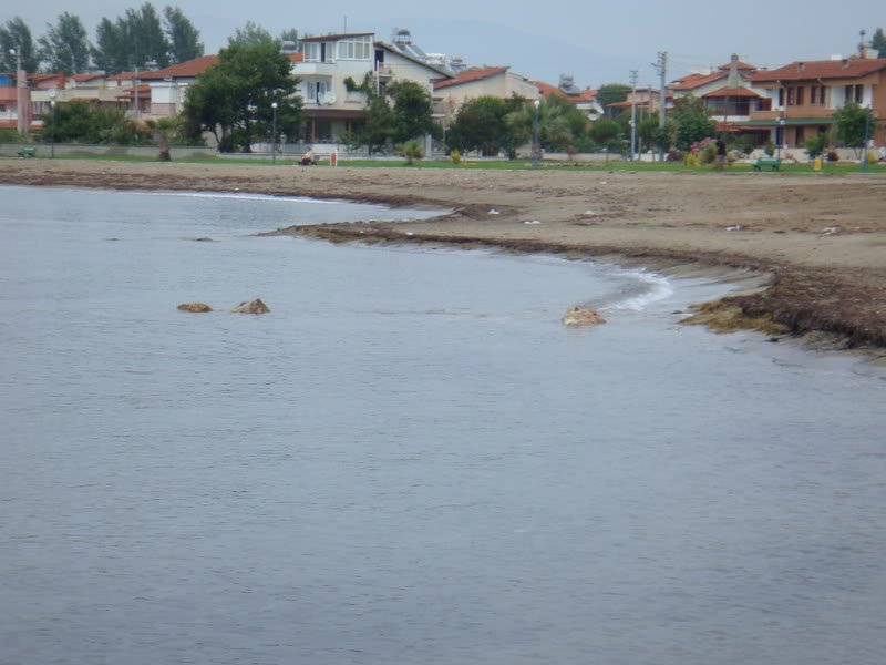 KazDalar356.jpg