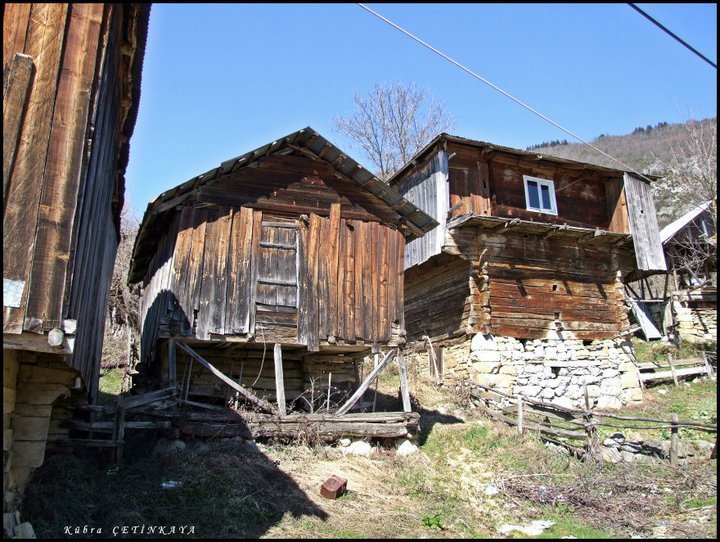 kdmp (46).jpg