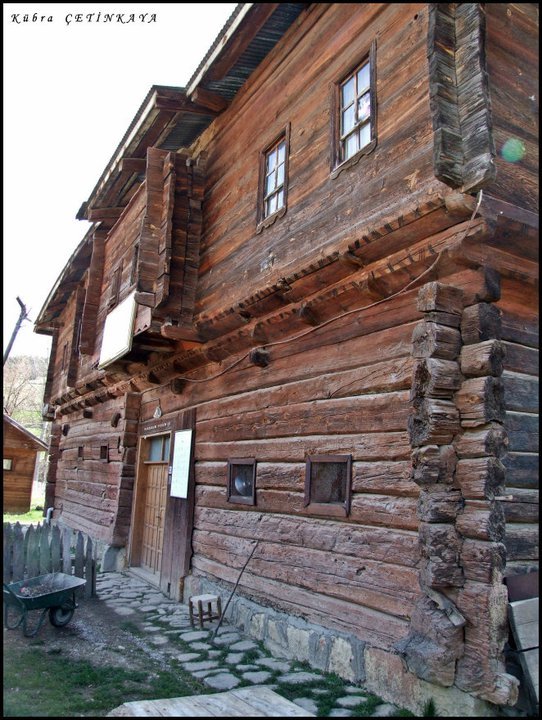kdmp (59).jpg