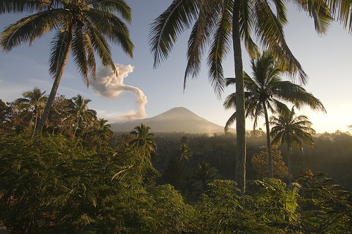 kelud endenozya (2).jpg