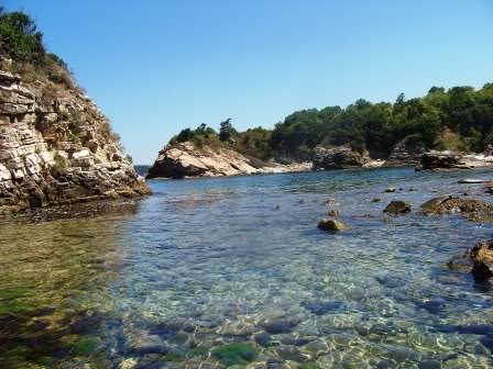 kerpe368.jpg