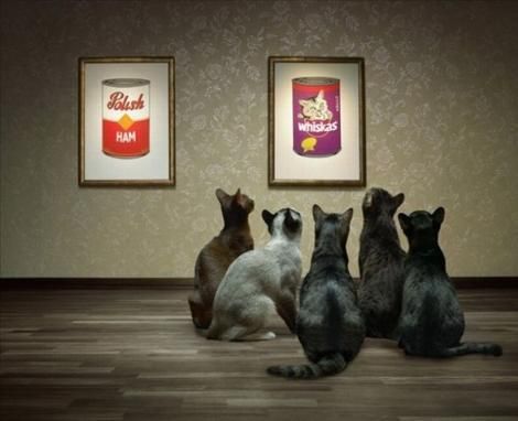 KF 0016 cats.jpg