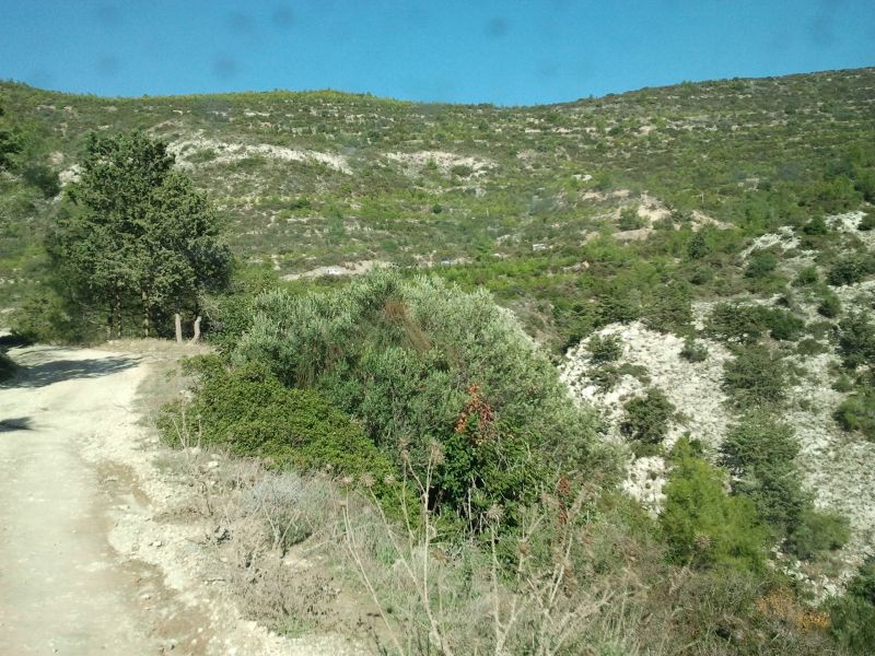 KIBRIS OFFROAD (56).jpg