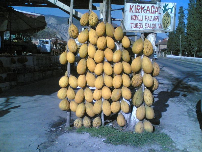 KIRKAÃƒÂƒÃ‚Â„ÃƒÂ‚Ã‚ÂžAÃƒÂƒÃ‚ÂƒÃƒÂ‚Ã‚Â‡07.jpg