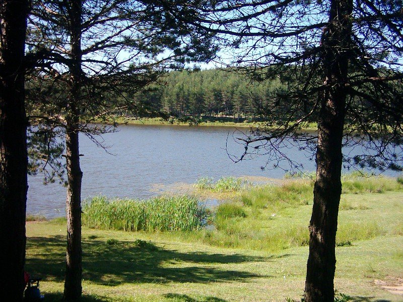kkDSCI0075.jpg