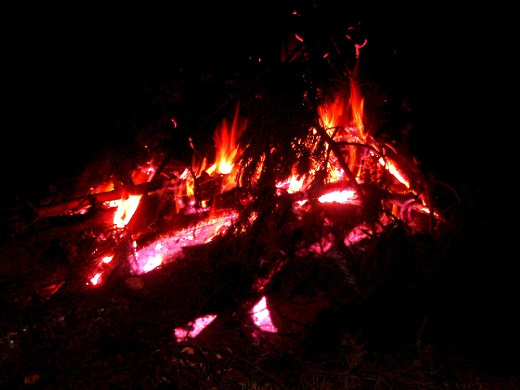 kkDSCI0079.jpg