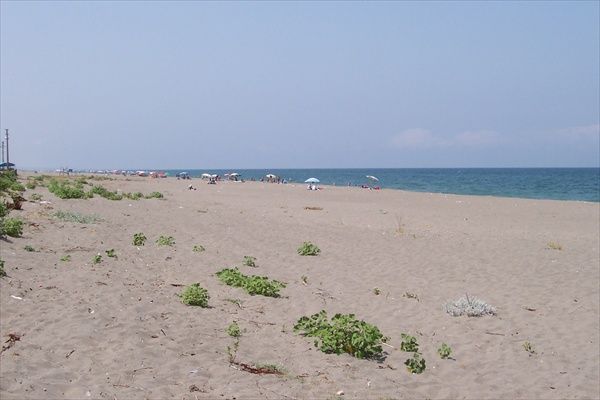 Kocaali sahil1.jpg