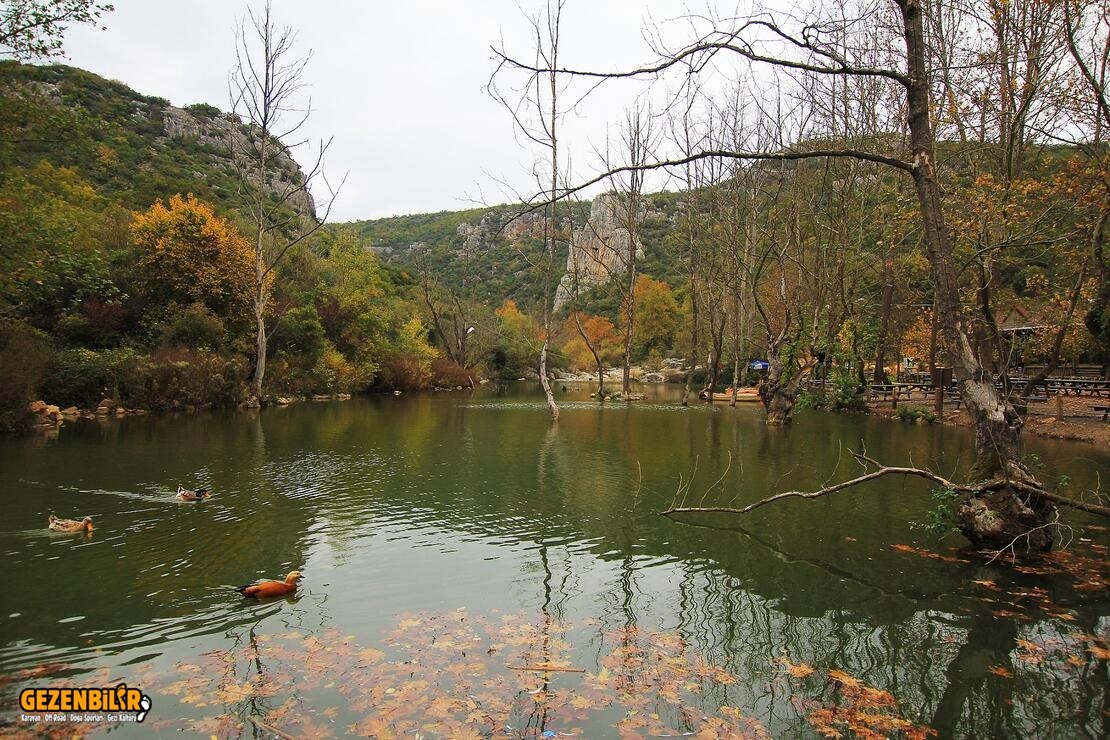 kocaeli tabiat park manzarları.jpg