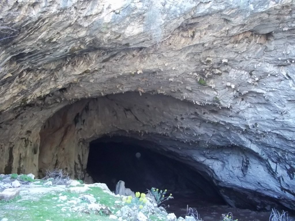 Kocain MaÃƒÂƒÃ‚Â„ÃƒÂ‚Ã‚ÂŸarasÃƒÂƒÃ‚Â„ÃƒÂ‚Ã‚Â± 002.jpg