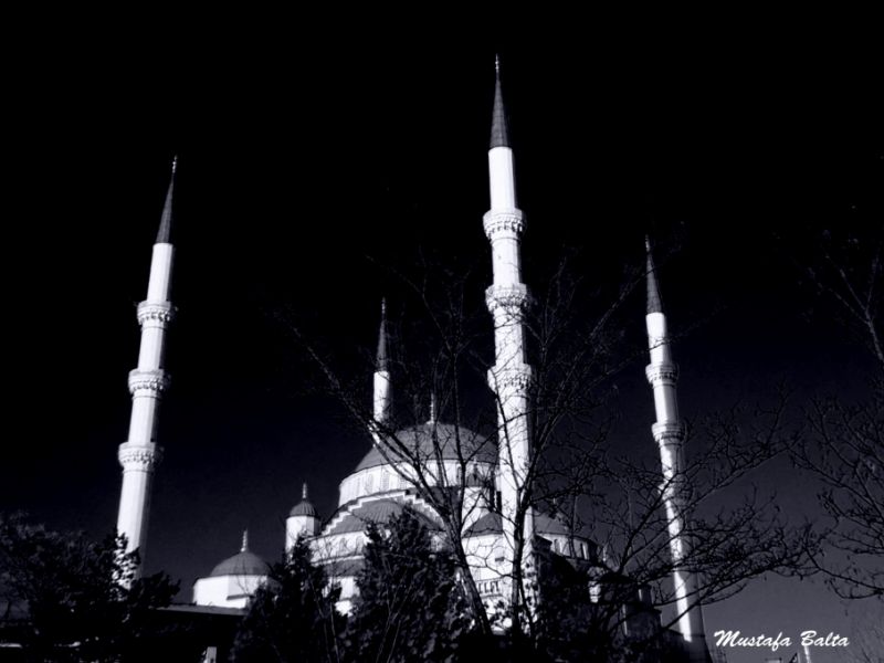 KOCATEPE CAMÃƒÂƒÃ‚Â„ÃƒÂ‚Ã‚Â°ÃƒÂƒÃ‚Â„ÃƒÂ‚Ã‚Â°.jpg