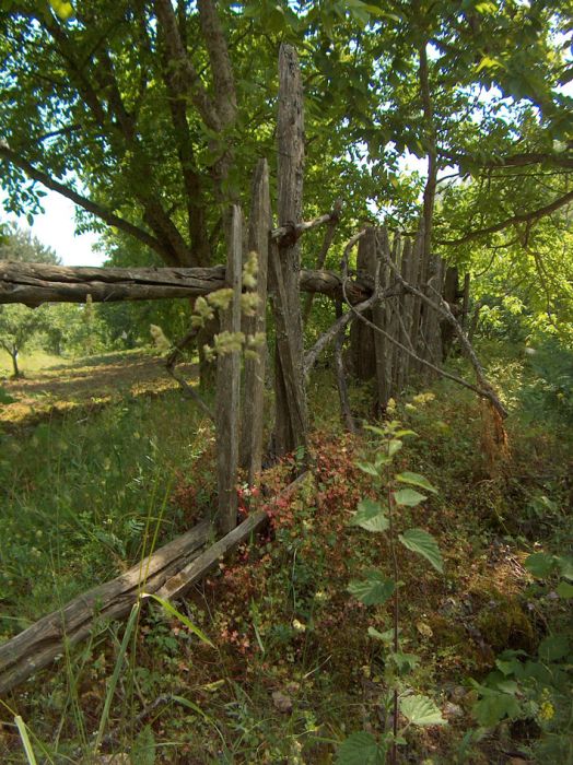 KocaYayla-018.jpg