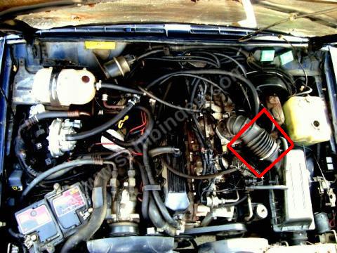 Kopyas? 12028301_912080_mip4606.jpg