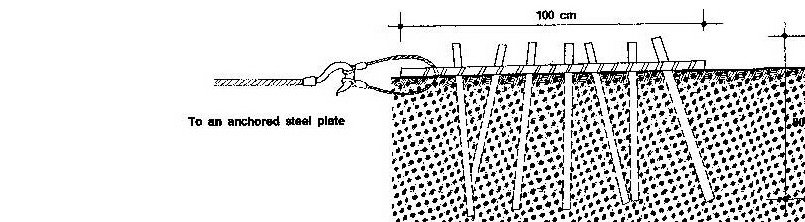 KopyasÃƒÂƒÃ‚Â„ÃƒÂ‚Ã‚Â± 12 Haziran 2008 PerÃƒÂƒÃ‚Â…ÃƒÂ‚Ã‚ÂŸembe (11).jpg