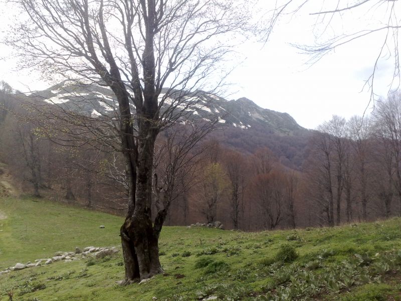 KopyasÃƒÂƒÃ‚Â„ÃƒÂ‚Ã‚Â± (2) 250420101247.jpg