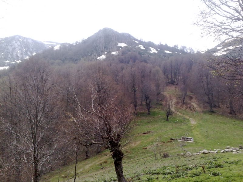 KopyasÃƒÂƒÃ‚Â„ÃƒÂ‚Ã‚Â± 250420101248.jpg